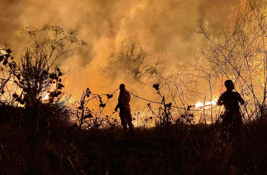 Sicilia. Sciopero alla Rovescia di agricoltori, braccianti e cittadini contro incendi e abbandono delle terre .