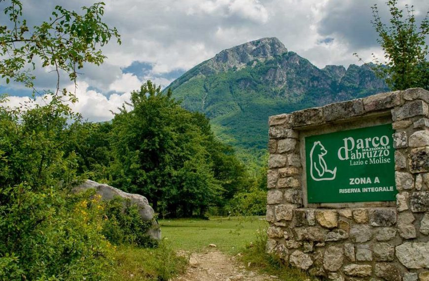 Il Cospa Abruzzo con il COAPI. Orsi e pastori, due specie in via di estinzione